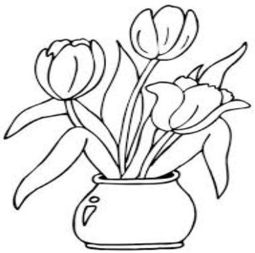 квітів Розмальовки роздрукувати бесплатно.